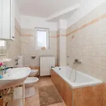 Krunoslav *